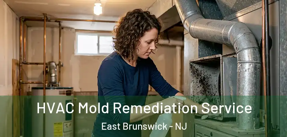  HVAC Mold Remediation Service East Brunswick - NJ