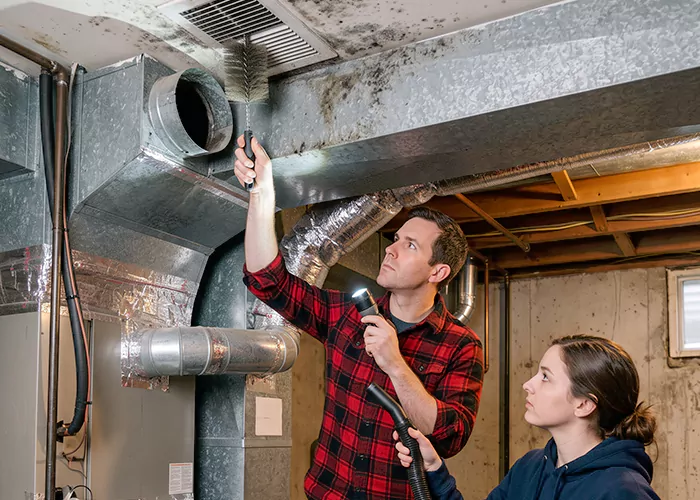 Premier HVAC Mold Remediation Company in East Brunswick